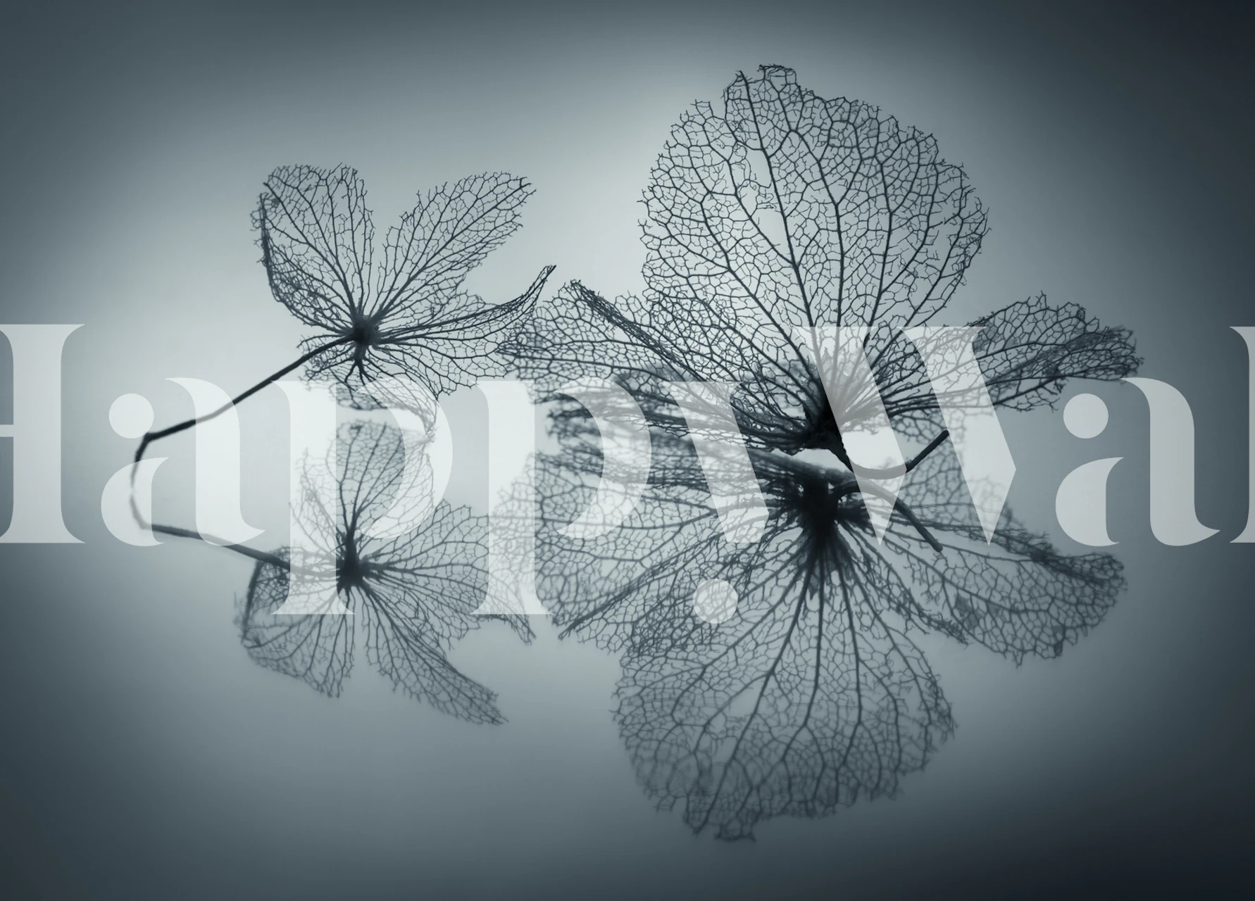 Black and white floral leaf silhouettes wallpaper