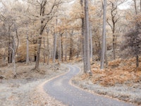 Make Your Own Path tapete