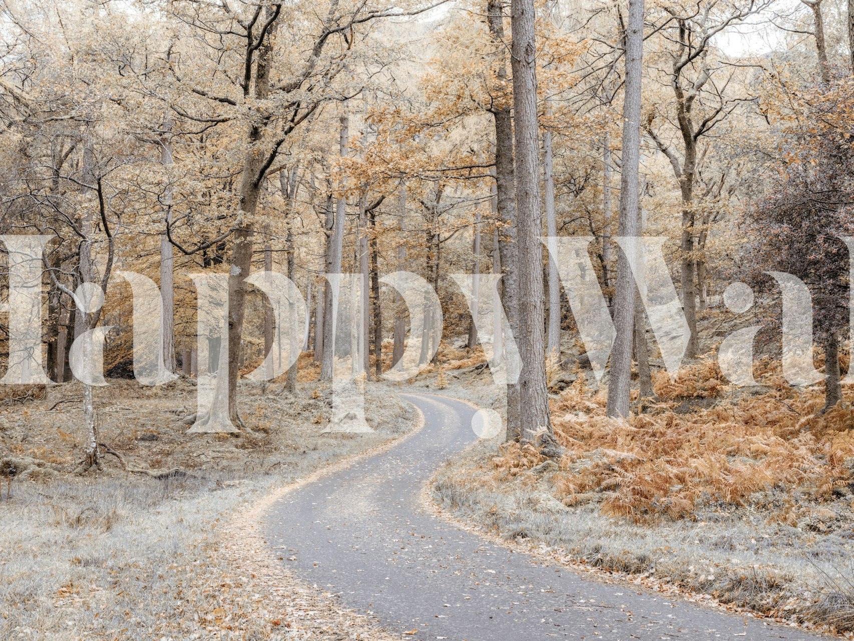 En svingete sti i en rolig høstskogveggmaleri