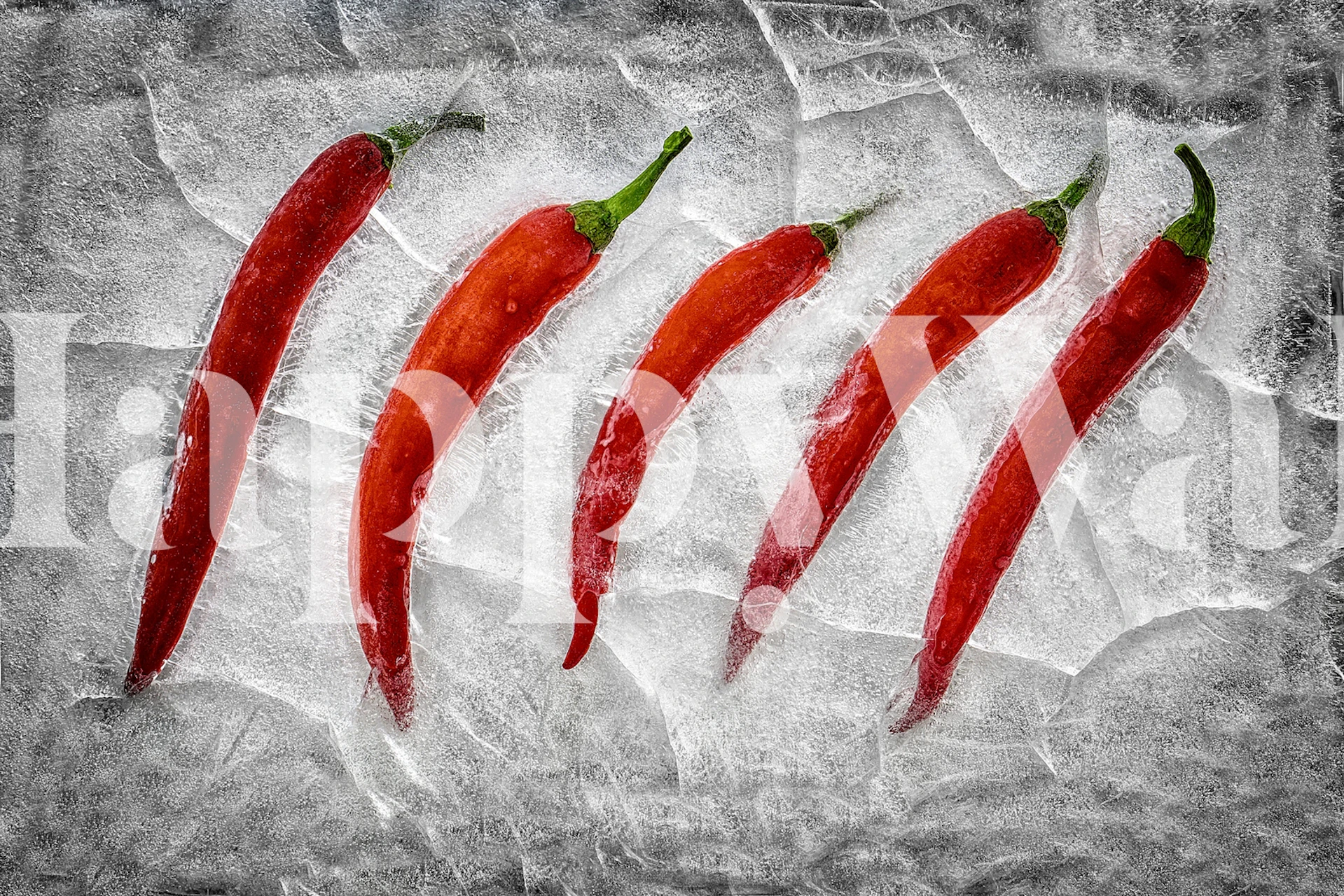 Five red chili peppers on icy background wallpaper