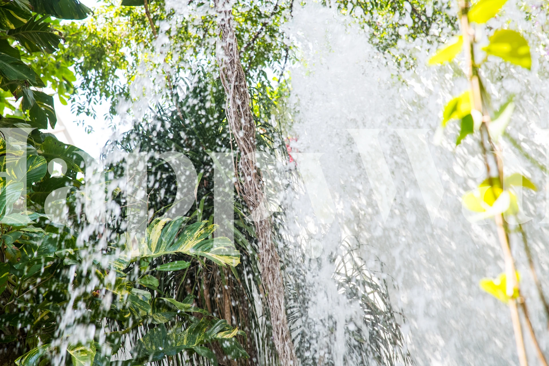 Rehevät trooppiset lehdet ja seinämaalaus vesiputouksesta