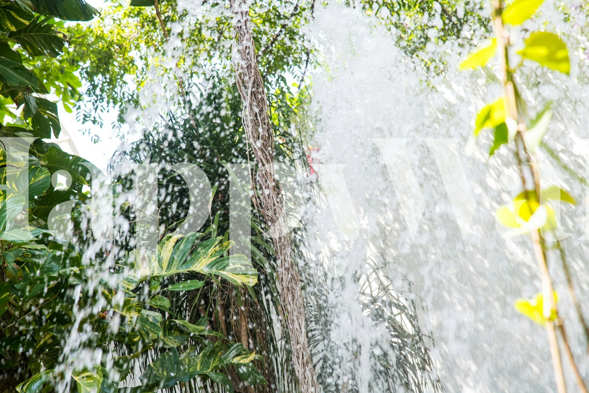 Fototapeta z bujnymi tropikalnymi liśćmi i wodospadem