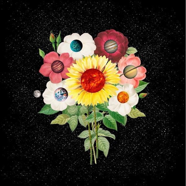 SunFlower System Planets