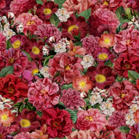 Scarlet Flowers Garden tapetas