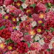 Scarlet Flowers Garden