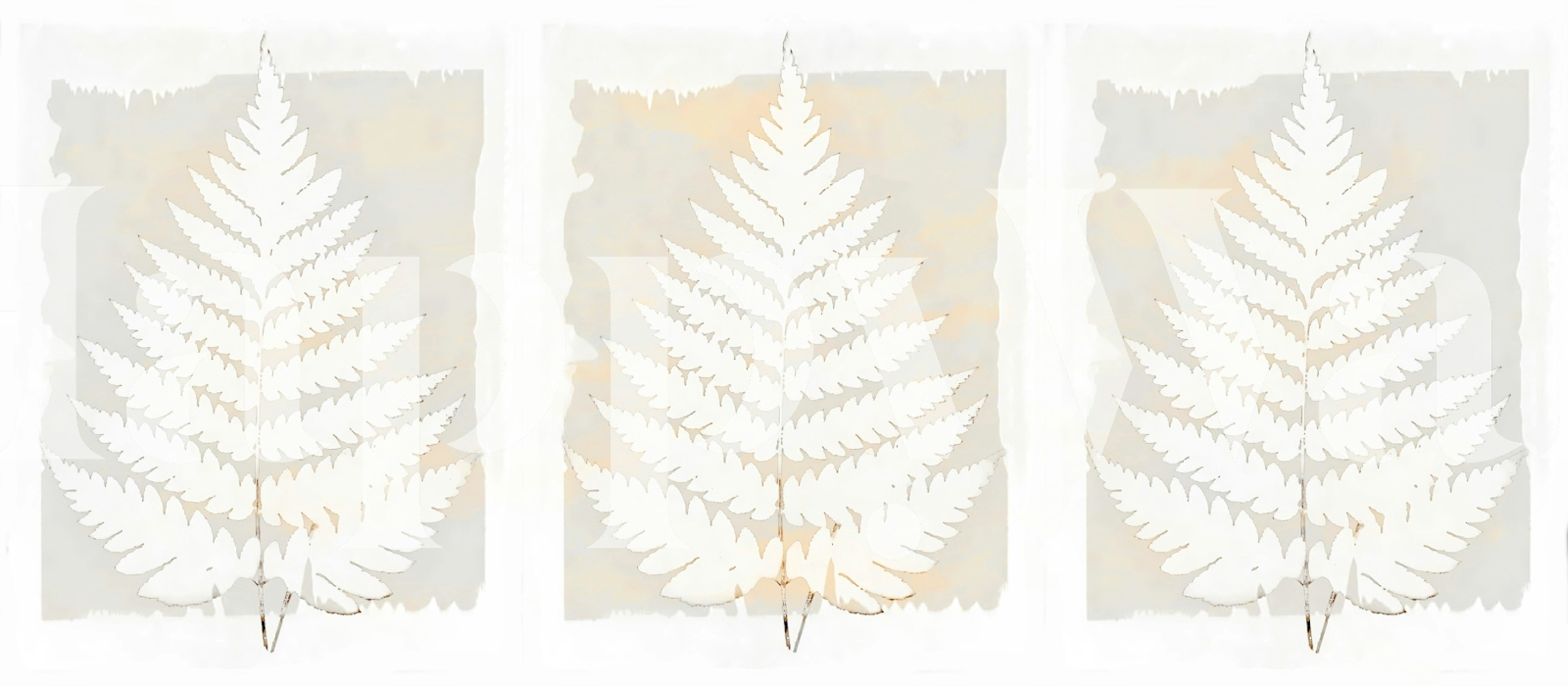 Neutral Fern Leaf tapetti esillä huoneessa