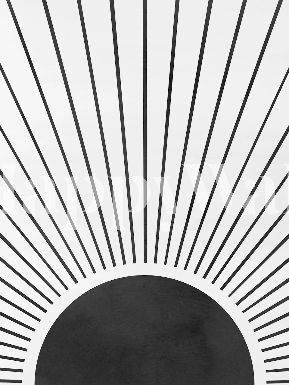 Black and white sunburst pattern wallpaper