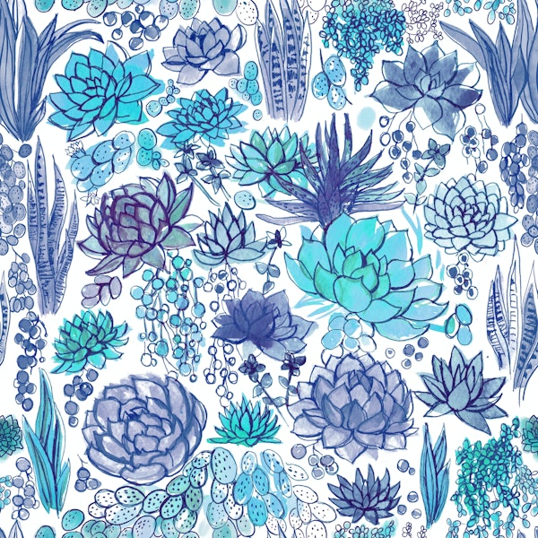 Succulents and cacti in blue