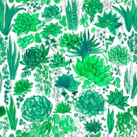 Succulents and cacti in green wallpaper