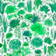 Succulents and cacti in green