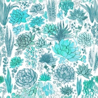 Succulents and cacti wallpaper