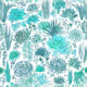 Succulents and cacti