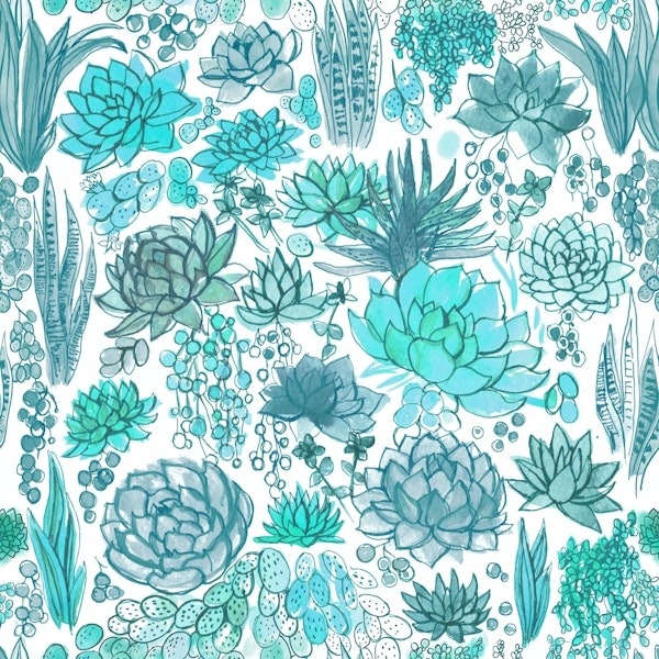 Succulents and cacti
