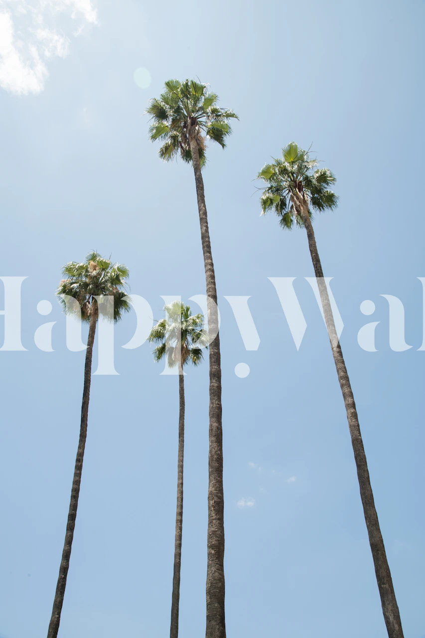 Under the Palm Trees 11 tapeta w pokoju