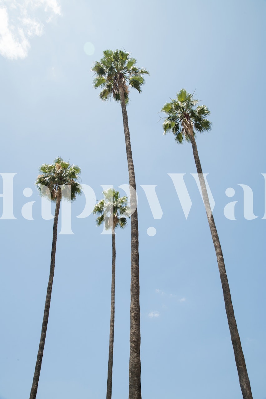 Under the Palm Trees 11 wallpaper in a room