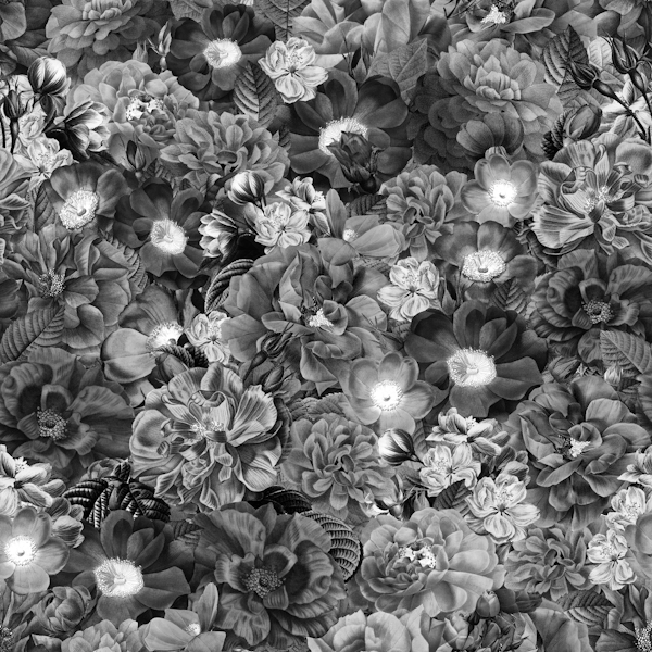 Black and White Flowers Garden
