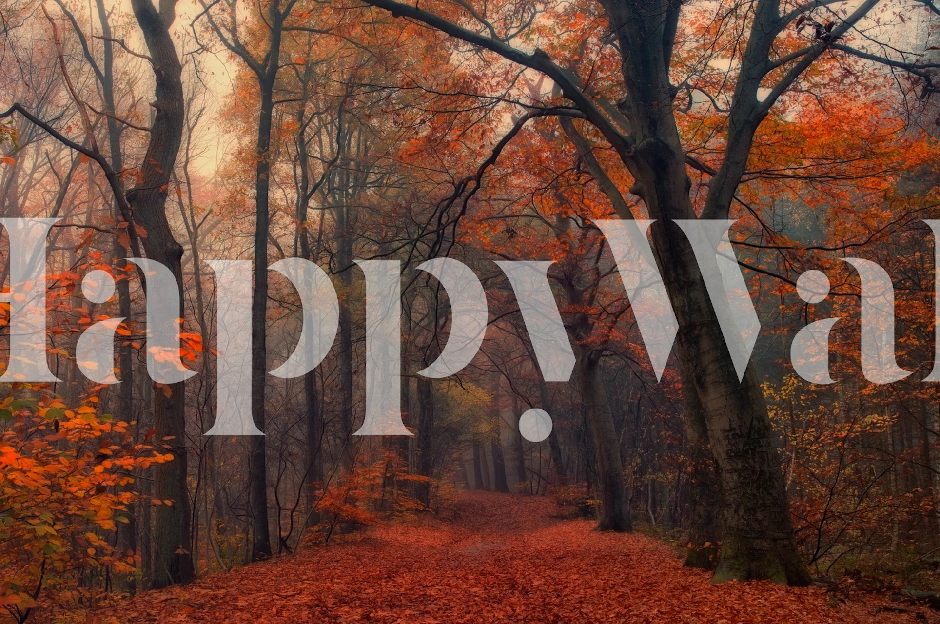 Decorative forest wallpaper in a room