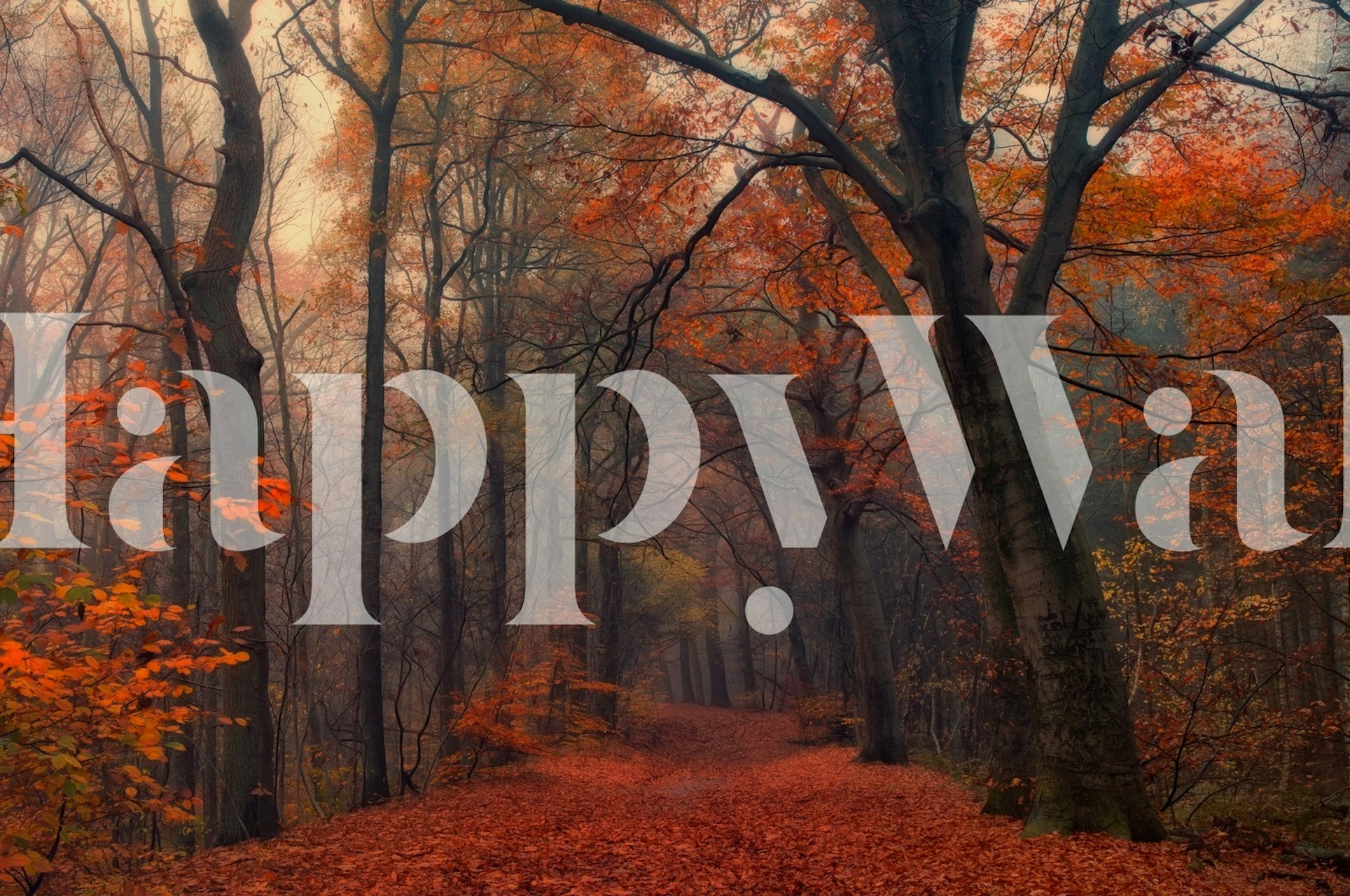 Decorative forest wallpaper in a room