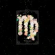 Floral Zodiac Sign: Virgo