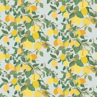 Lemon Tree on Blue wallpaper