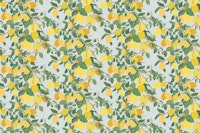 Lemon Tree on Blue Mural wallpaper