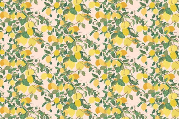 Lemon Tree on Pink Mural