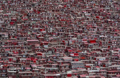 Τοιχογραφία