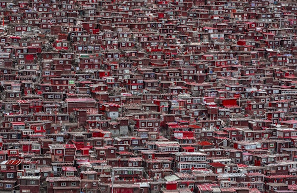 Red houses