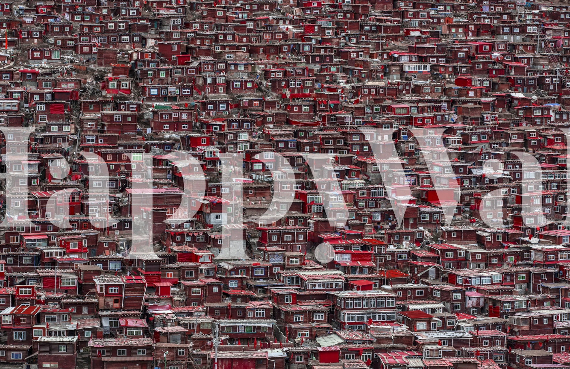 Wall mural of densely packed red-roofed houses creating a vibrant, intricate townscape pattern