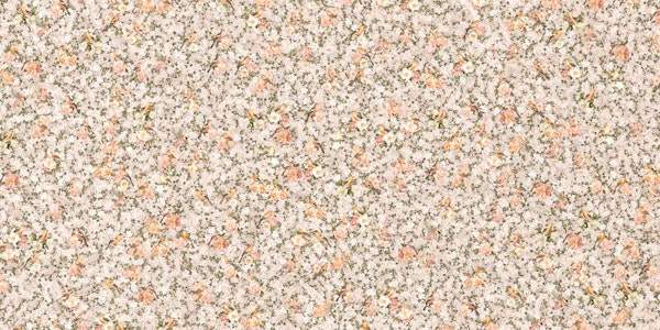 Birds and flowers orange