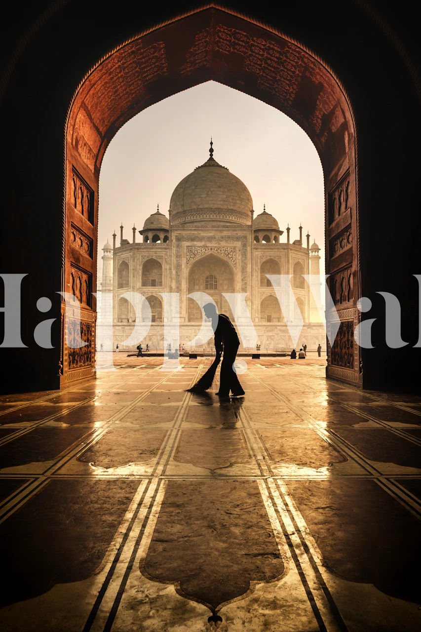 Taj Mahal Cleaner wallpaper displayed in a room