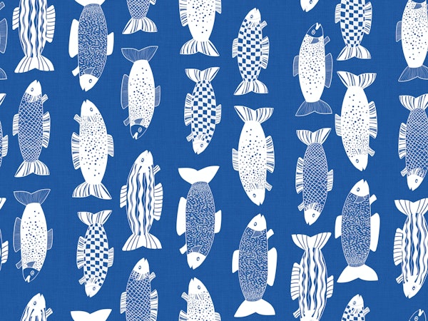 funny fishes on blue