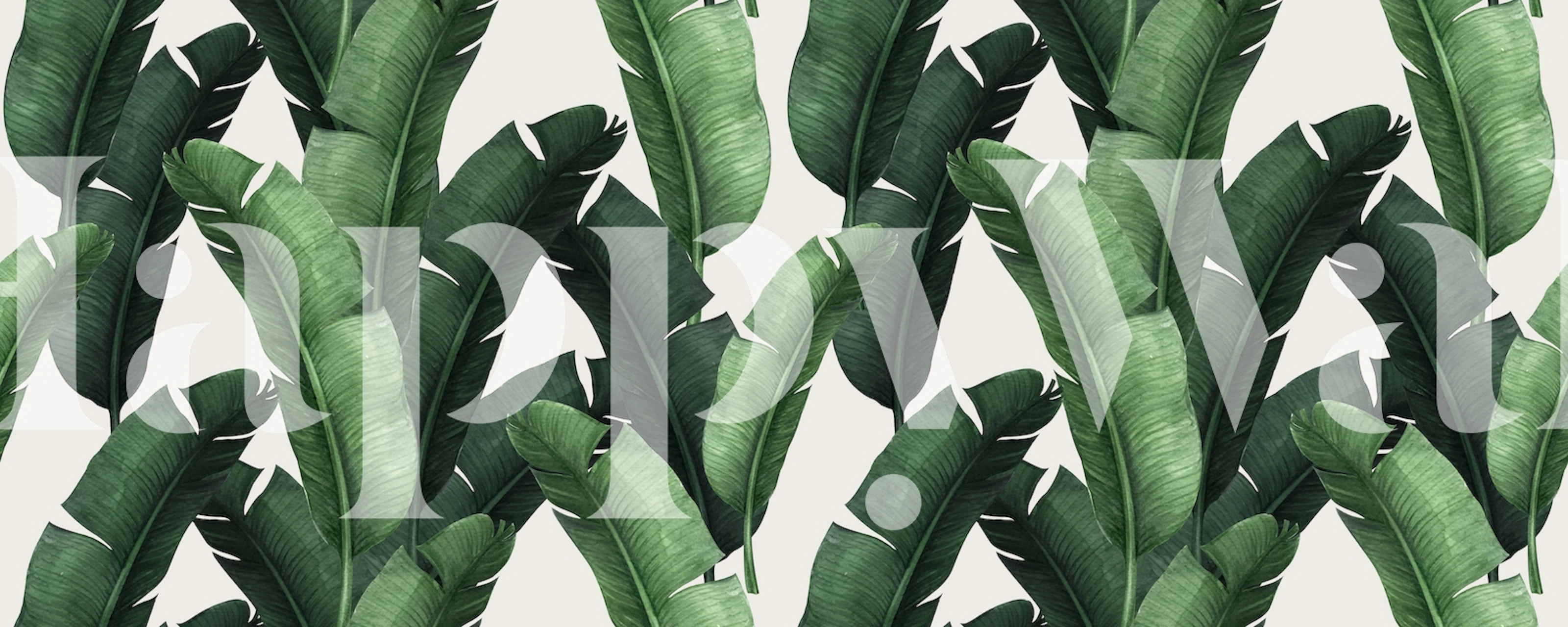 Banana leaves wall mural with rich green hues and tropical design