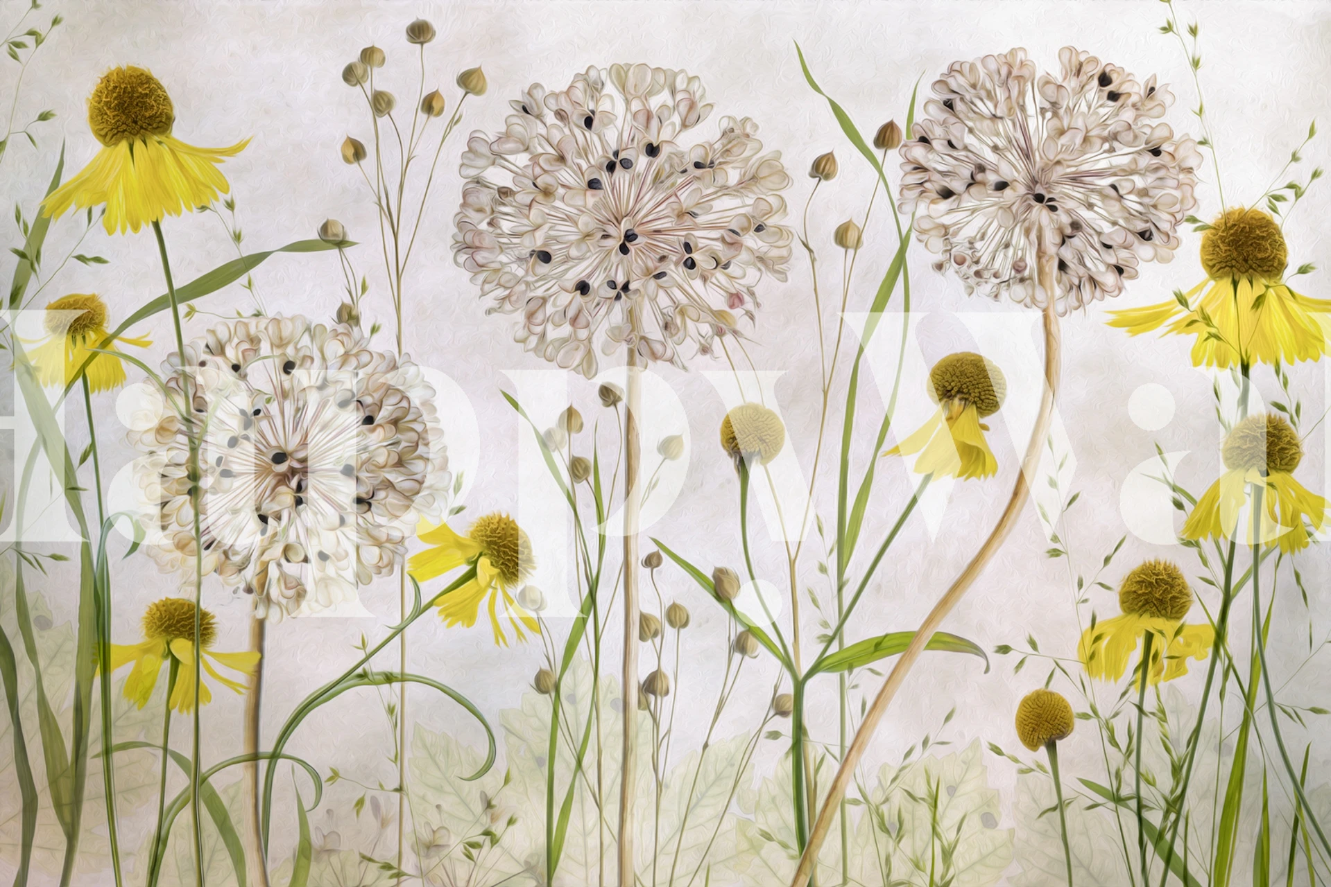 Tapeta Alliums i heleniums u sobi
