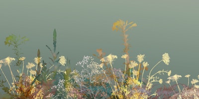 Mural