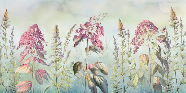 Wild flowers meadows blue