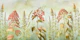 Wild flowers meadows