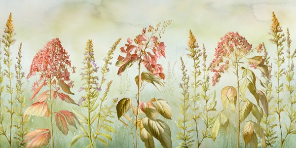 Wild flowers meadows