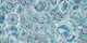 After haeckel blue
