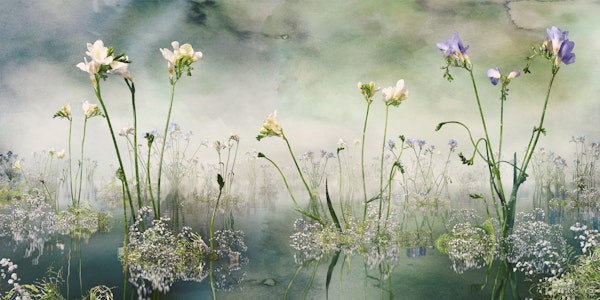 Forever freesia blue