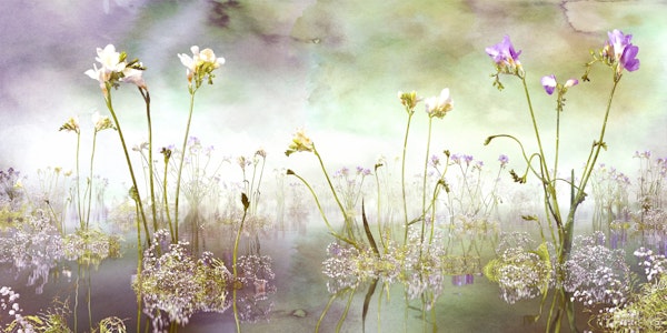 Forever freesia purple