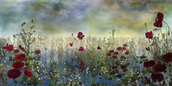 Poppy love color blue