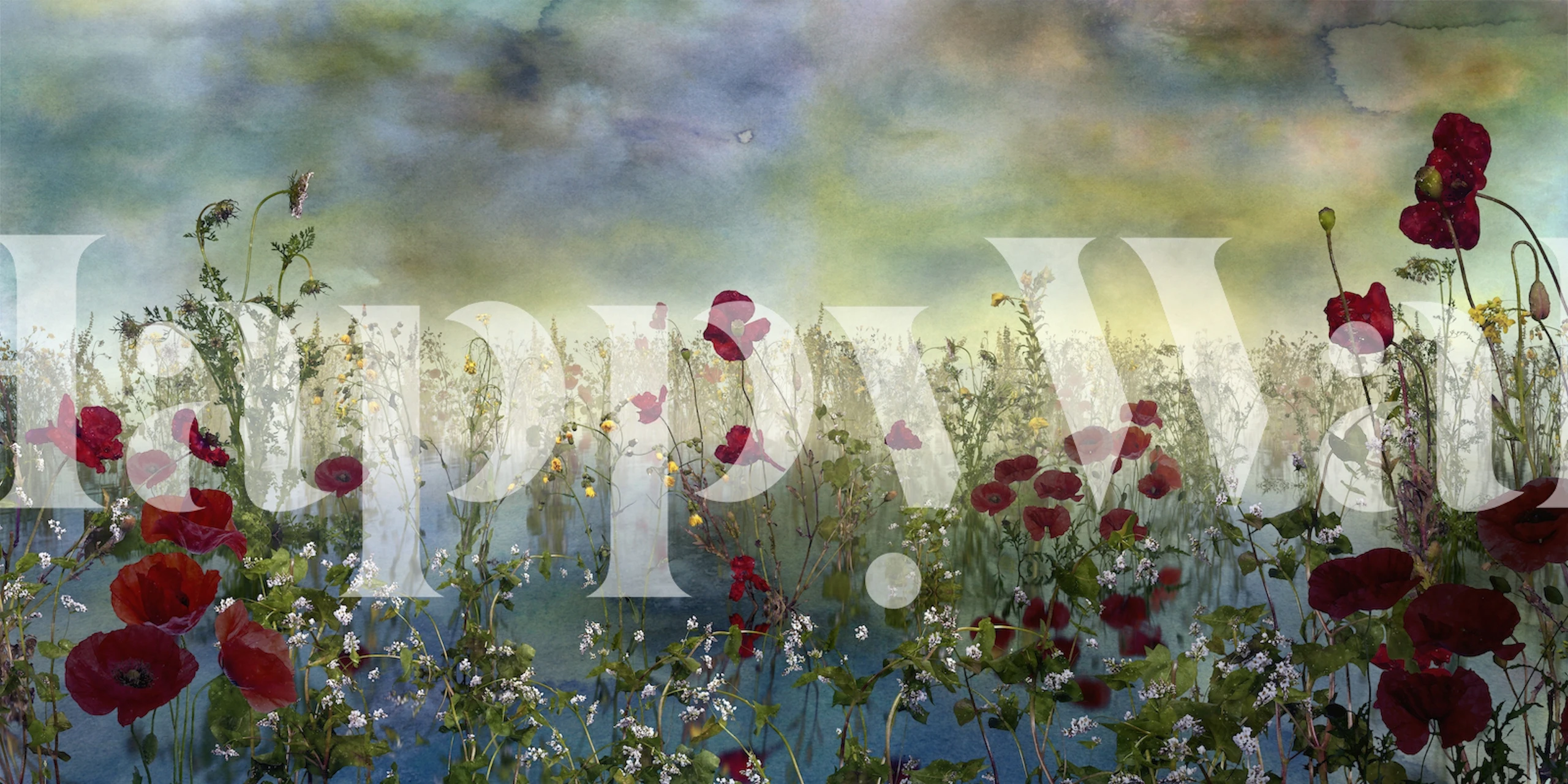 Rote Mohnblumen auf bläulichem Hintergrund, Wasserfarbenstil Wallpaper