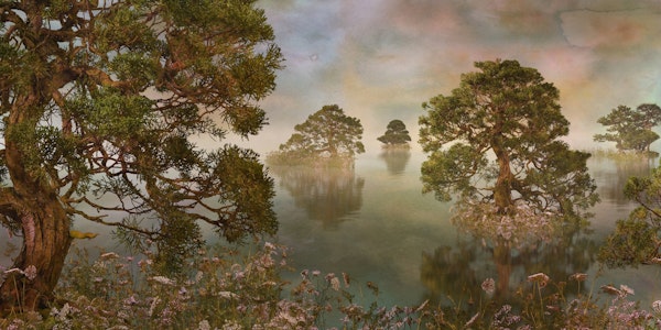 Watercolor lake sunset