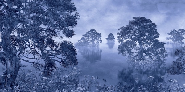 Watercolor lake blue