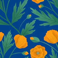 California Poppies on Blue carta da parati