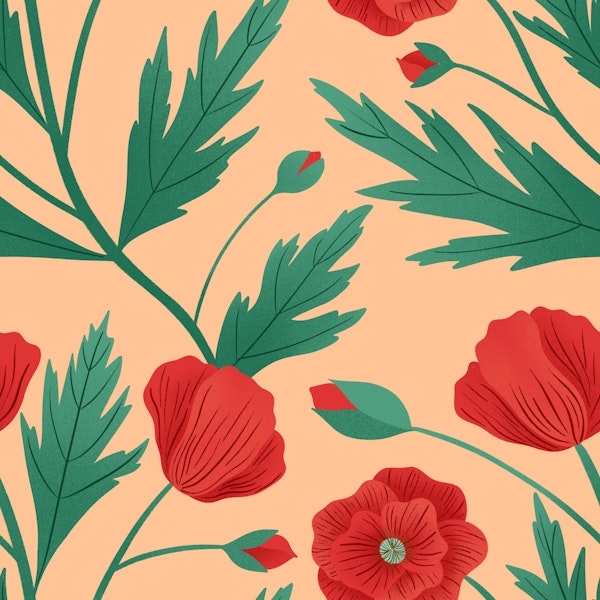 Red Poppies on Orange