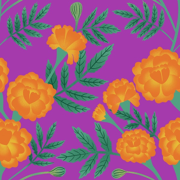 French Marigolds on Magenta