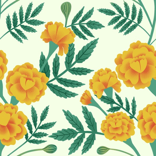 French Marigolds on Light Green