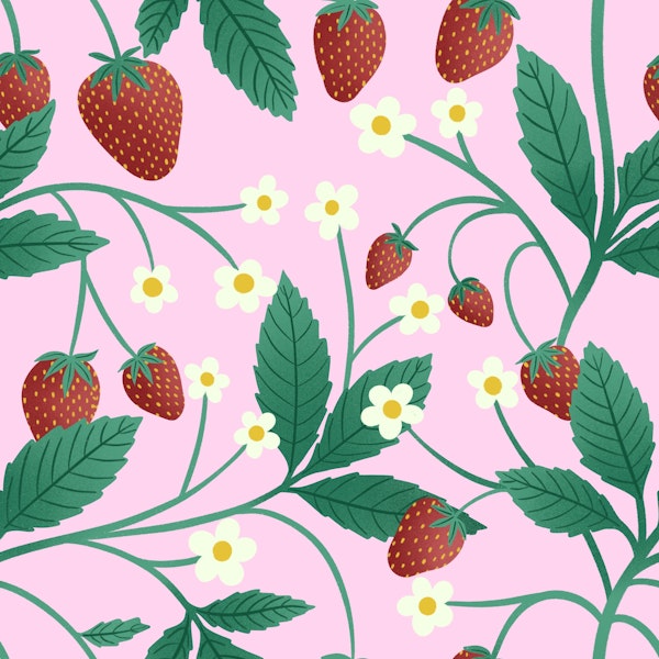 Strawberries on Pink